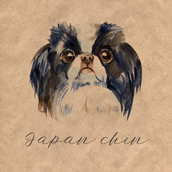 Sevimli köpek - Japonca çene. Suluboya illüstrasyon izole. — Stok fotoğraf
