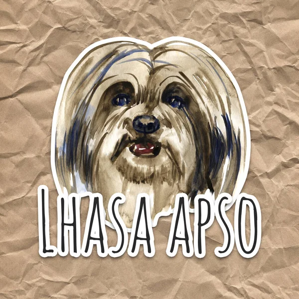 Lhasa apso - handbemalter, isolierter Aquarellhund — Stockfoto