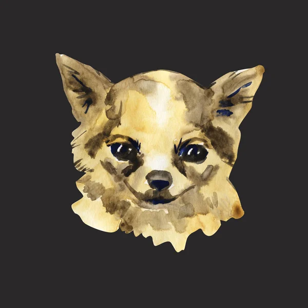 Der Chihuahua ist ein beliebter Minihund. Kopf eines Toy Terriers auf Aquarell-Hintergrund. Aquarell Tiersammlung: Hunde. niedliche realistische Welpenporträt - handgemalte Illustration von Haustier. Designvorlage — Stockfoto