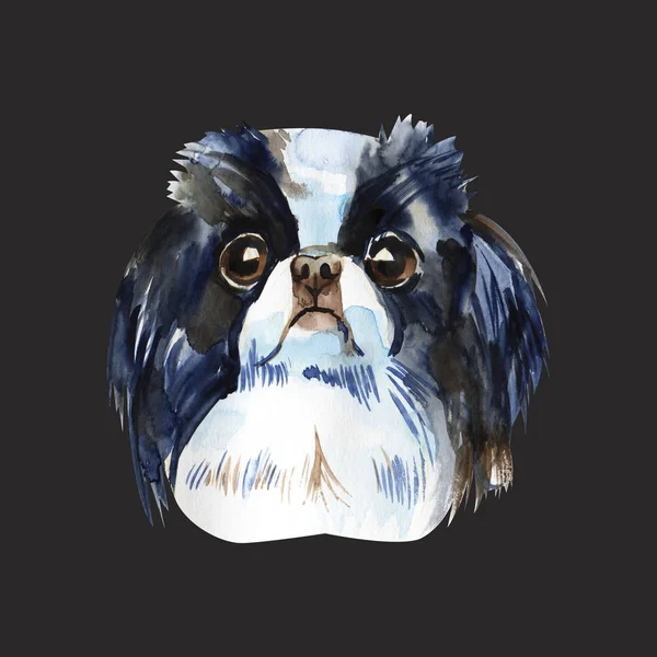 Cute dog - japanese chin. Watercolor Illustration isolated.