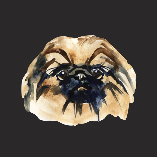 Portrait cute dog isolated. Watercolor hand-drawn illustration. Popular breed dog. Greeting card design. Pekingese. — Stock Photo, Image