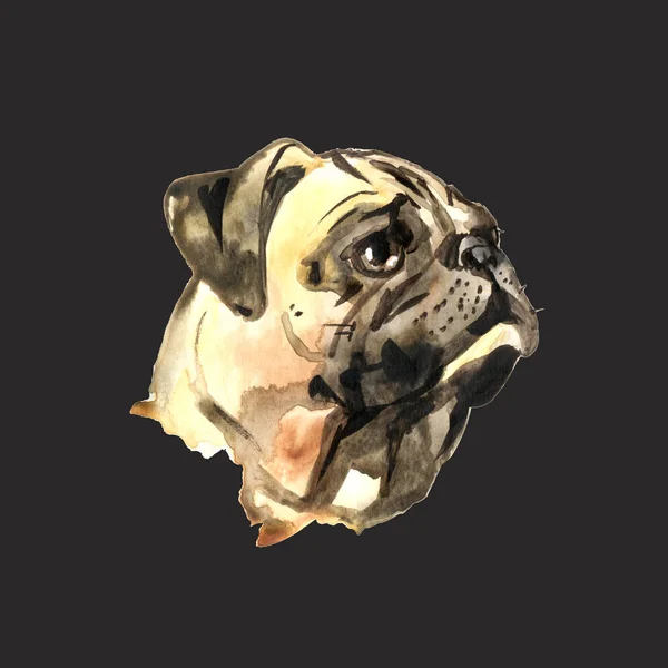 Watercolor Dog Pug Retrato - Ilustração pintada à mão de animais de estimação — Fotografia de Stock