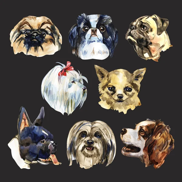 Porträt niedlichen Hund gesetzt isoliert. Aquarell handgezeichnete Illustration. beliebte dekorative Hunderassen. Grußkarten-Design. — Stockfoto