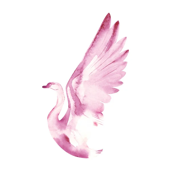Beyaz zemin üzerinde bir kuş suluboya çizimi. Kuğu. Suluboya kuş. — Stok fotoğraf