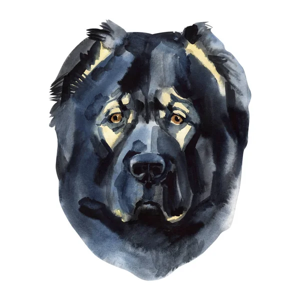 Caucasian shepherd. Portrait. Painting wet watercolor on paper. Naive art. Abstract art. Drawing watercolor on paper. — Stock Photo, Image