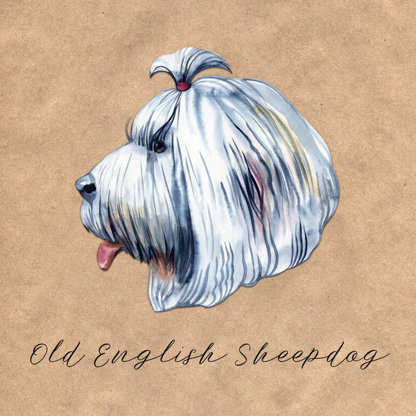 Portrait cute dog isolated on white background. Watercolor hand-drawn illustration. Popular breed dog. Greeting card design. Bobtail