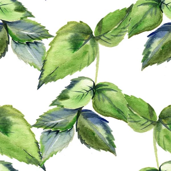 Naadloze patroon met framboos bladeren. Aquarel illustratie — Stockfoto