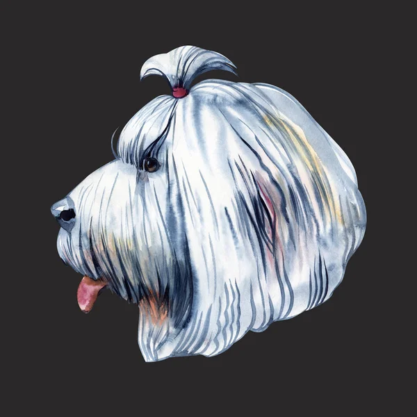 Porträt niedlicher Hund isoliert auf weißem Hintergrund. Aquarell handgezeichnete Illustration. Beliebte Hunderasse. Grußkarten-Design. Bobtail — Stockfoto