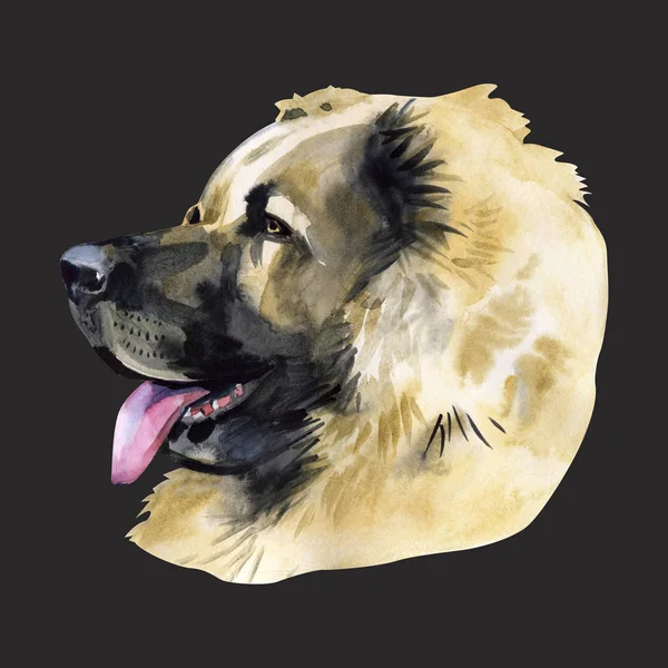 Caucasian shepherd. Portrait. Painting wet watercolor on paper. Naive art. Abstract art. Drawing watercolor on paper. — Stock Photo, Image