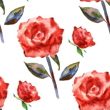 Romantik Pembe çiçek seamless modeli. Suluboya kırılgan gül beyaz bir arka plan üzerinde. Davetiye, düğün veya tebrik kartları için taze romantik tasarım. Raster illüstrasyon.