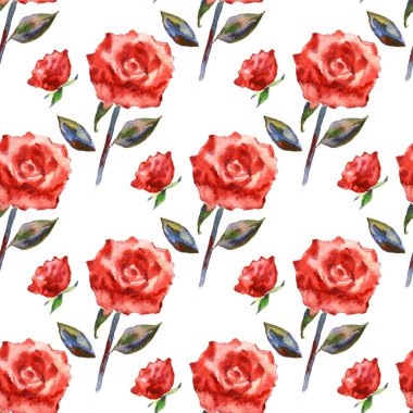 Romantik Pembe çiçek seamless modeli. Suluboya kırılgan gül beyaz bir arka plan üzerinde. Davetiye, düğün veya tebrik kartları için taze romantik tasarım. Raster illüstrasyon.