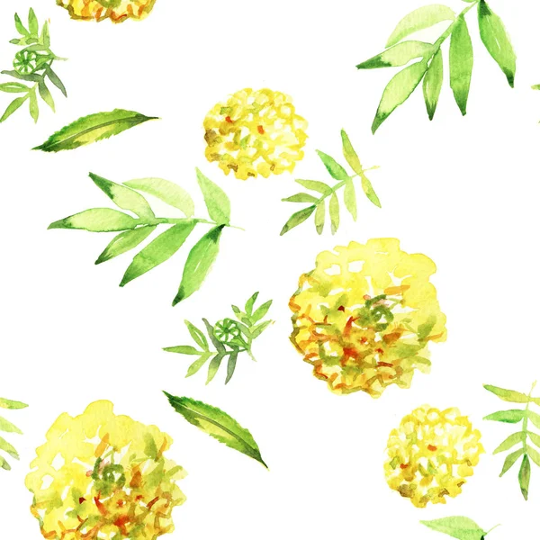 Yellow Marigold Seamless. Watercolor Illustration. Flower pattern. — 스톡 사진