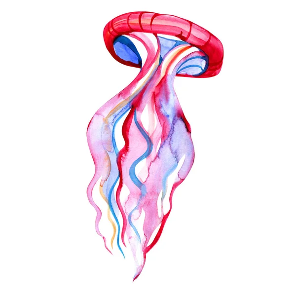 Mavi ve pembe denizanası Handdrawing suluboya çizimi yüksek çözünürlüklü — Stok fotoğraf