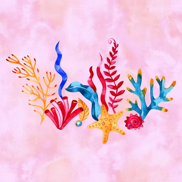 サンゴ、藻類や魚水中成分。白い背景に分離された水彩手描きイラスト — ストック写真