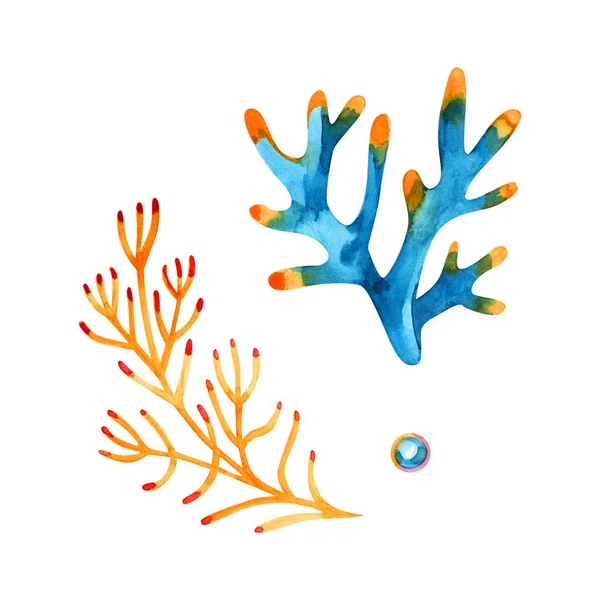 Watercolor set of isolated objects drawing bright algae and corals — Stock Photo, Image