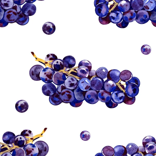 Groene, paarse, smakelijke, gezonde druiven. Zuidelijk, rijp, vers, wijn bessen. Een heleboel heerlijke, sappige druiven. Decoratief, wilde bos van bessen. Aquarel Isabella. Illustratie — Stockfoto