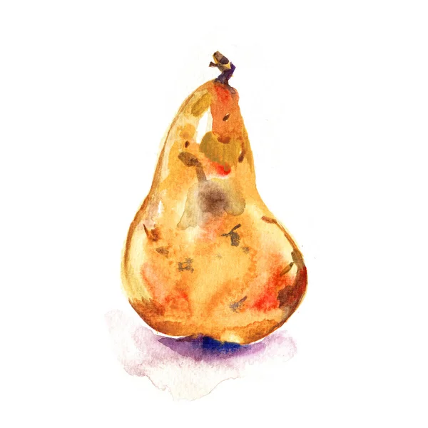 Hand getekende aquarel schilderij op witte achtergrond. Illustratie van fruit peer. — Stockfoto