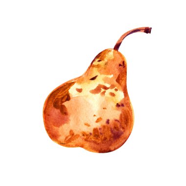 Suluboya altın armut meyve closeup beyaz arka plan izole