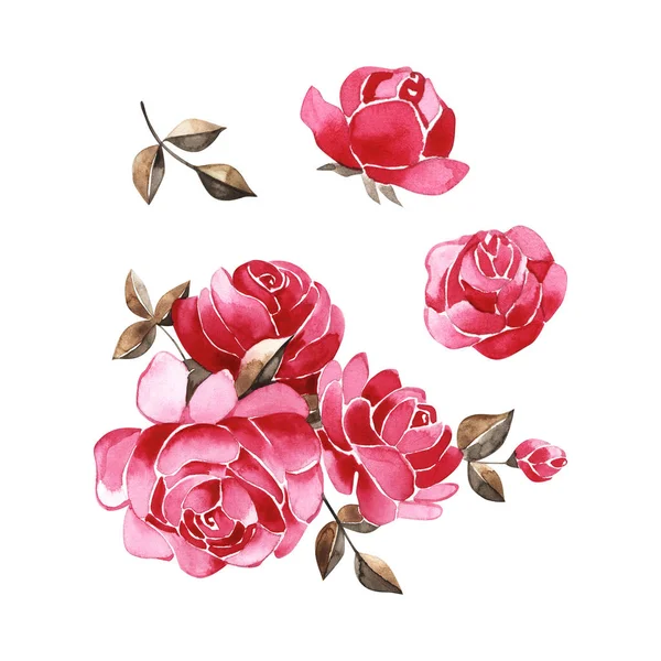 Conjunto de elementos, rosas cartão de saudação. Ilustração aquarela . — Fotografia de Stock