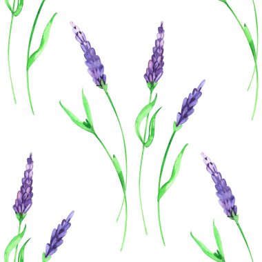 Dikişsiz yaz çiçek deseni. El boyaması suluboya arka plan.