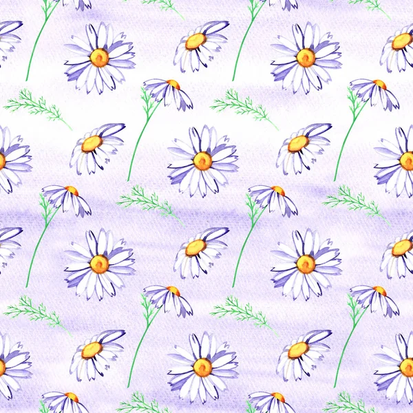 Watercolor floral seamless pattern with daisies, wildflowers, summer print — Stock Photo, Image