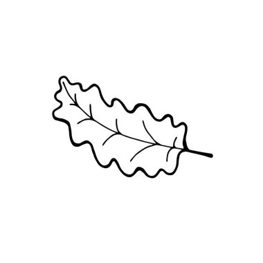 El çekilmiş akçaağaç yaprağı anahat. Beyaz arka plan üzerinde izole hat sanat tarzı akçaağaç yaprağı.