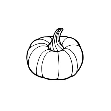 Kabak simgesi, Harvest Şükran hattı vektör illüstrasyon