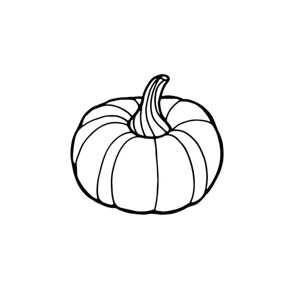 Icono de calabaza, Vector de línea de Acción de Gracias de la cosecha ilustración — Vector de stock