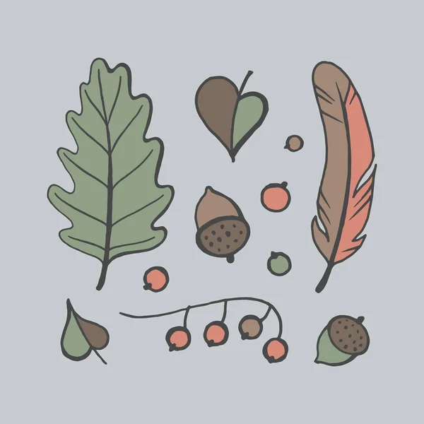 Conjunto de hojas de otoño, bellotas y bayas, ilustración vectorial — Archivo Imágenes Vectoriales