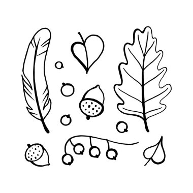 Sonbahar doodle çizilmiş sayfa yetişkin boyama kitabı, Sanat Terapisi, beyaz arka plan üzerinde izole için anahatları ile.