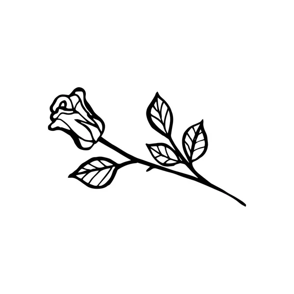 Desenho de linha preto e branco de flor de rosa, desenho de design de tatuagem . —  Vetores de Stock