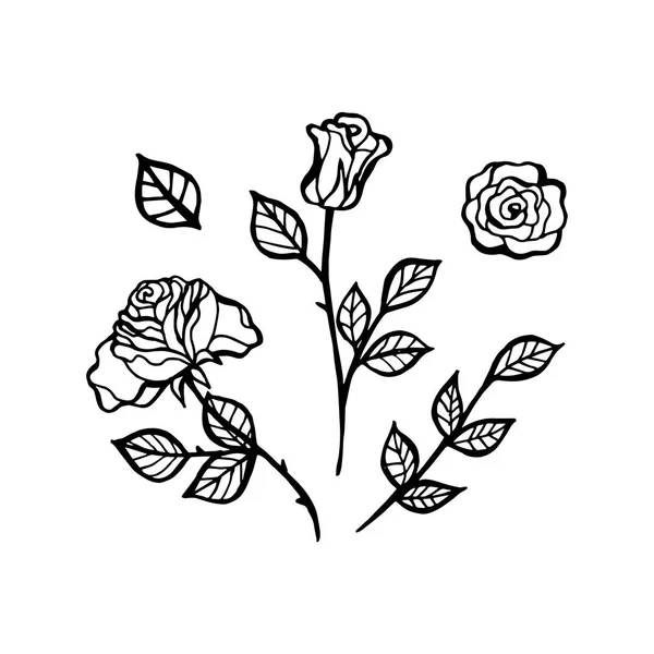Черно-белая линия рисунок цветок розы, эскиз татуировки . — стоковый вектор