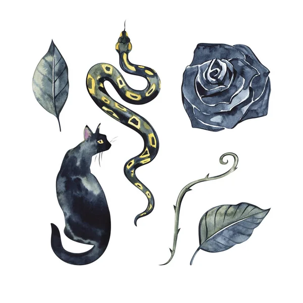 Tmavý kreslený design zvířat. Černá růže, had, kočka tisk tetování. Na Halloweenskou vodní barvu. Umění růže pro divočina. — Stock fotografie
