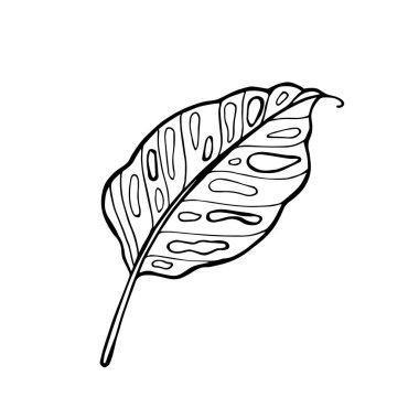 El çizilmiş vektör tropikal terk simgeleri. Boyama kitabı illüstrasyon.