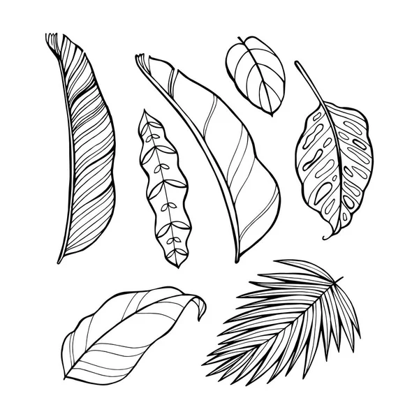 Ручные векторные иконки тропических листьев. Иллюстрация книги раскрасок — стоковый вектор