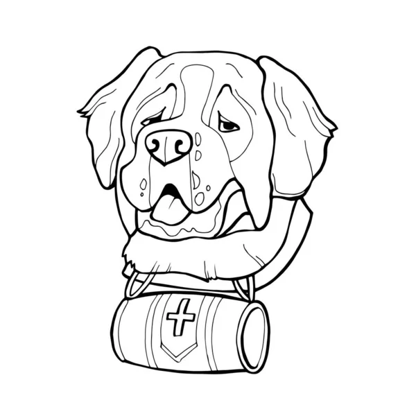 Tête de chien Saint Bernard, crayon à main levée, dessin à la main, motif. L'art zen. Vecteur décoré. Coloriage livre page — Image vectorielle