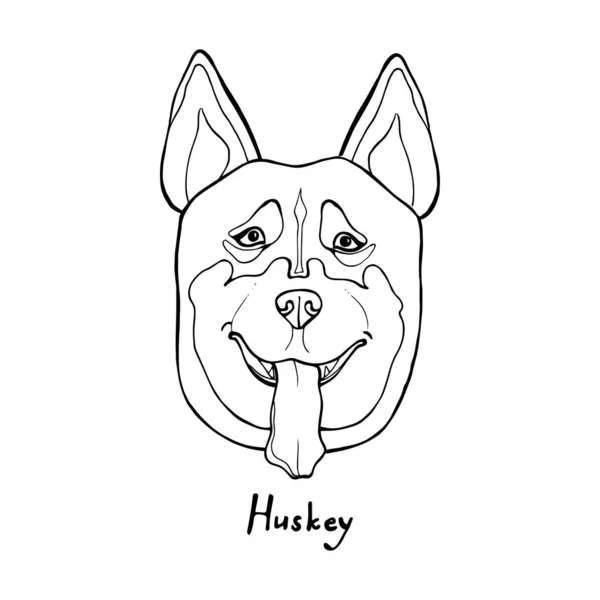 Portrait husky dessiné à la main. Illustration vectorielle de dessin à la main — Image vectorielle