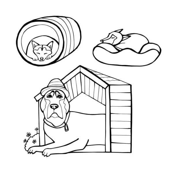 Cani vettore linea mano disegnare illustrazione. Case per cani isolate. Libro da colorare pagina — Vettoriale Stock