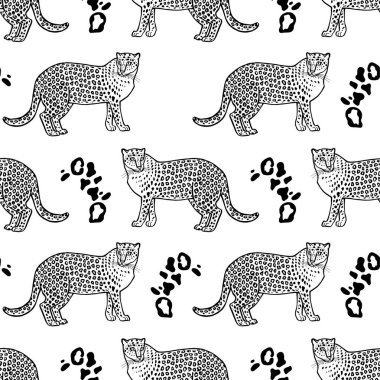 Çizim stili leoparların kusursuz deseni. Vektör illüstrasyonu beyaz arkaplanda izole edildi.