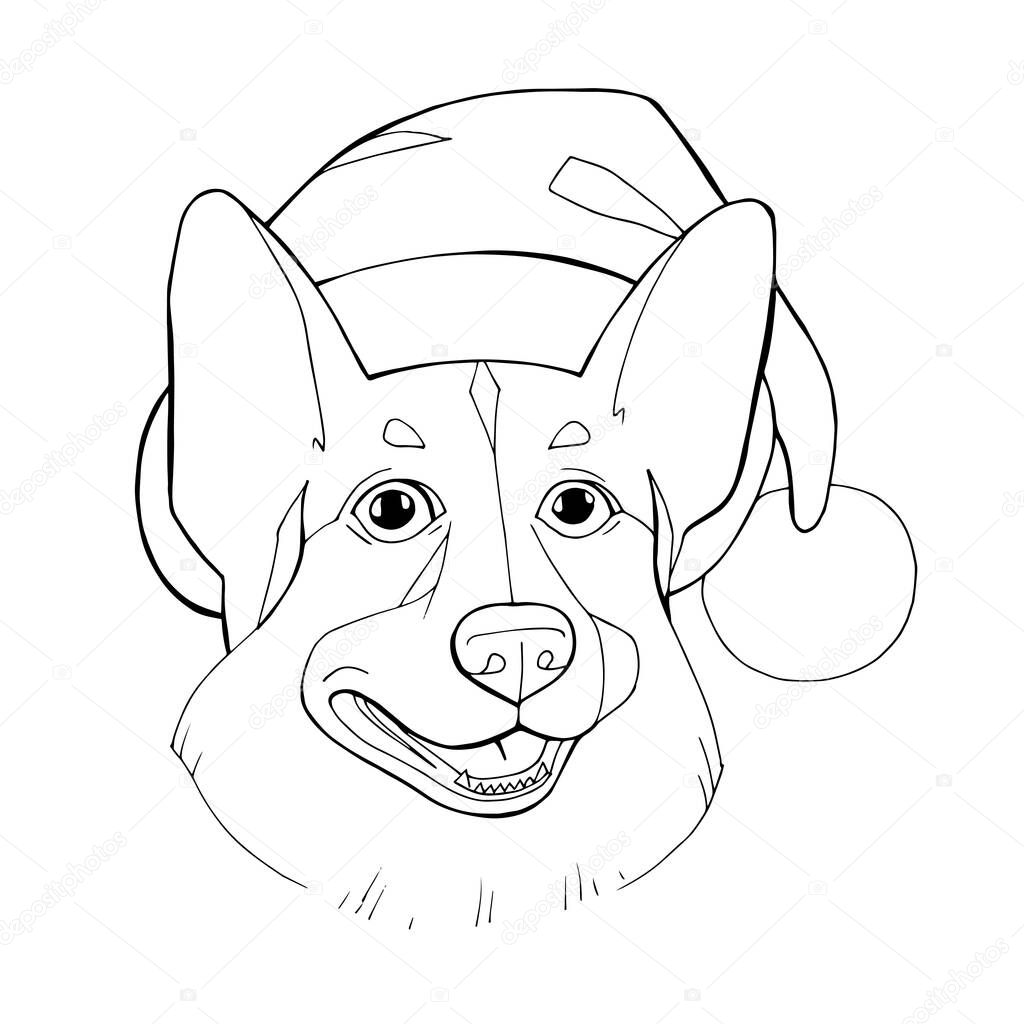 The Corgi dog in winter Santa hat. Illustration for coloring book