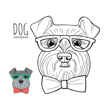 Boyama kitabı sayfası Schnauzer. Köpek vektör eli çizimi