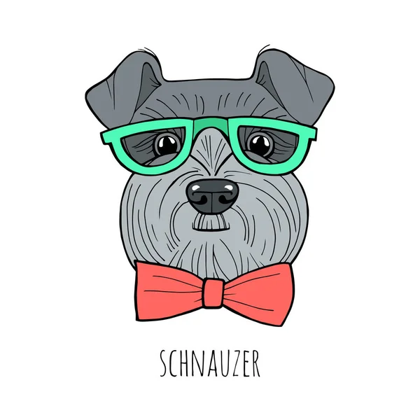 Handgetekende illustratie van schnauzer geïsoleerd op wit — Stockvector