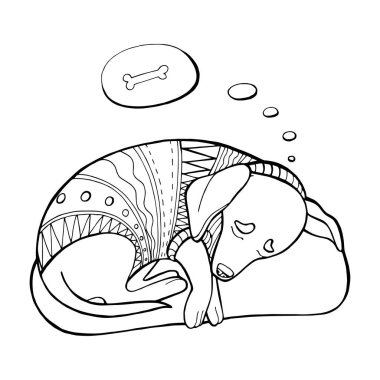 Süveter giyen şirin köpek Dachshund beyaz arka planda uyuyor. El çizimi vektör. Boyama kitabı.