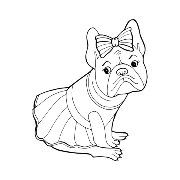Beautiful dog in a dress and with a bow. Coloring book page. Purebred puppy. French Bulldog. Vector illustration for a postcard or poster, print for clothes or printed products. — Stockvector
