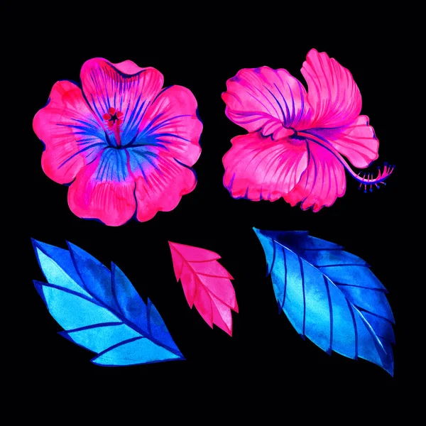 Ensemble de fleurs exotiques - hibiscus et feuilles tropicales lumineuses au néon - turquoise, rose, magenta. Aquarelle jungle collection de plantes . — Photo