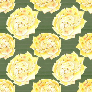 Gül desenli kusursuz çiçek deseni, suluboya resimleme arka planı.