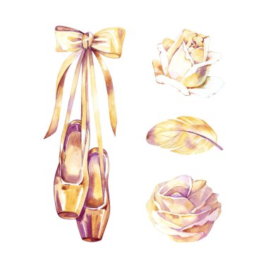 Set, suluboya noktalı ayakkabı koleksiyonu ve gül illüstrasyonu, beyaz bir arkaplana el çizimi