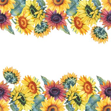 suluboya çerçeve ile yaz çiçekleri beyaz arka planda ayçiçekleri