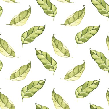 Bahar mevsimi yeşil yaprakları, suluboya, desen, soyut, duvar kağıdı.