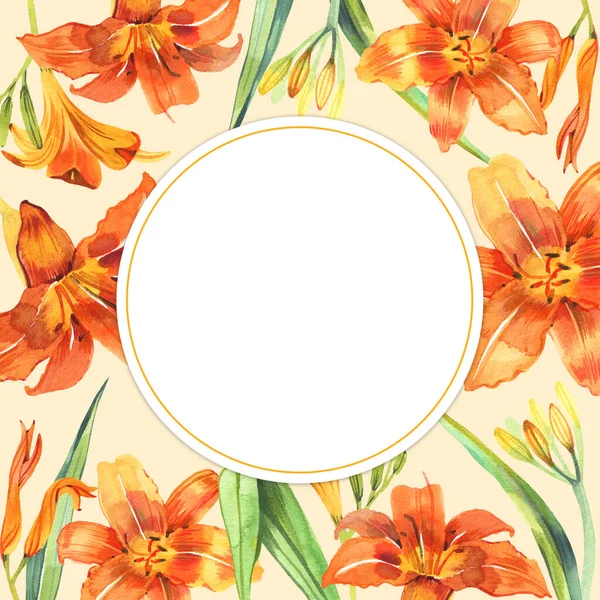 Λουλούδι φόντο με πορτοκαλί κρίνα απομονώνονται σε λευκό φόντο — Φωτογραφία Αρχείου
